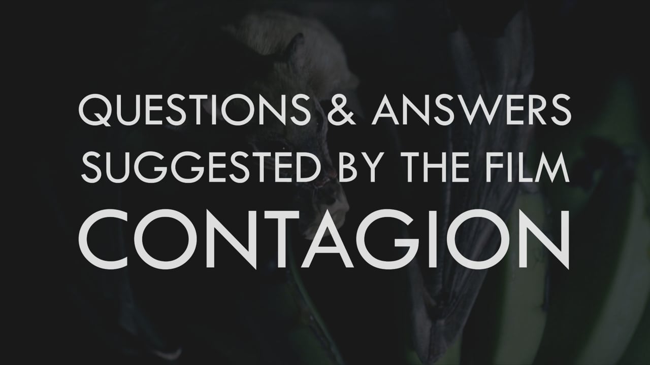 VIDEO ESSAY: Questions and answers suggested by the film CONTAGION