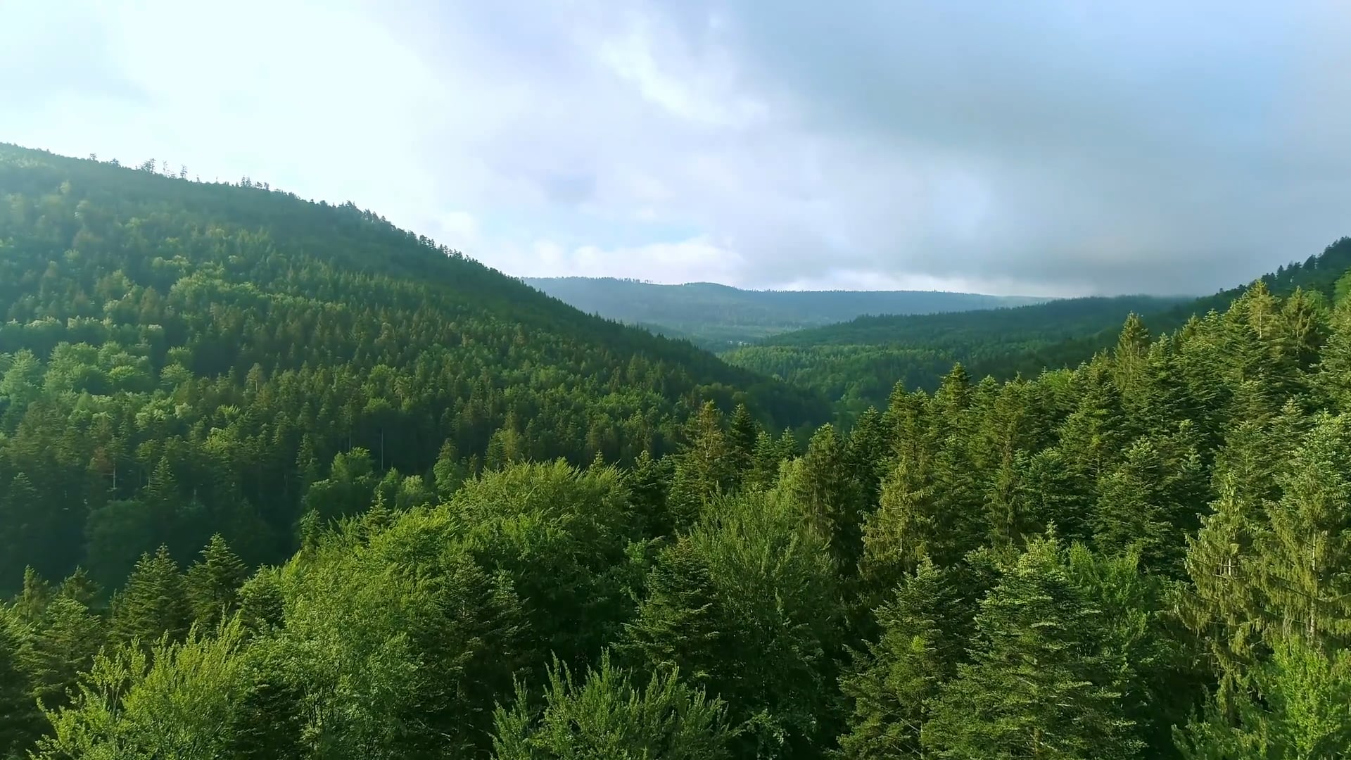 Nature on Vimeo