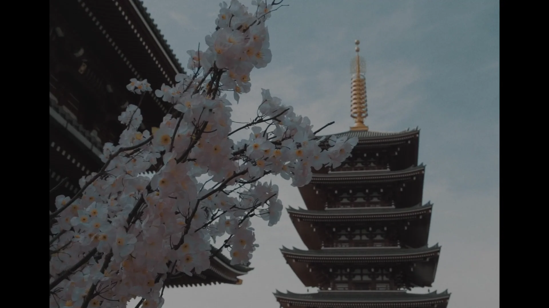 japan on Vimeo