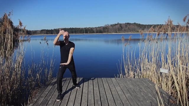 Tai Chi Chuan, Teil 3