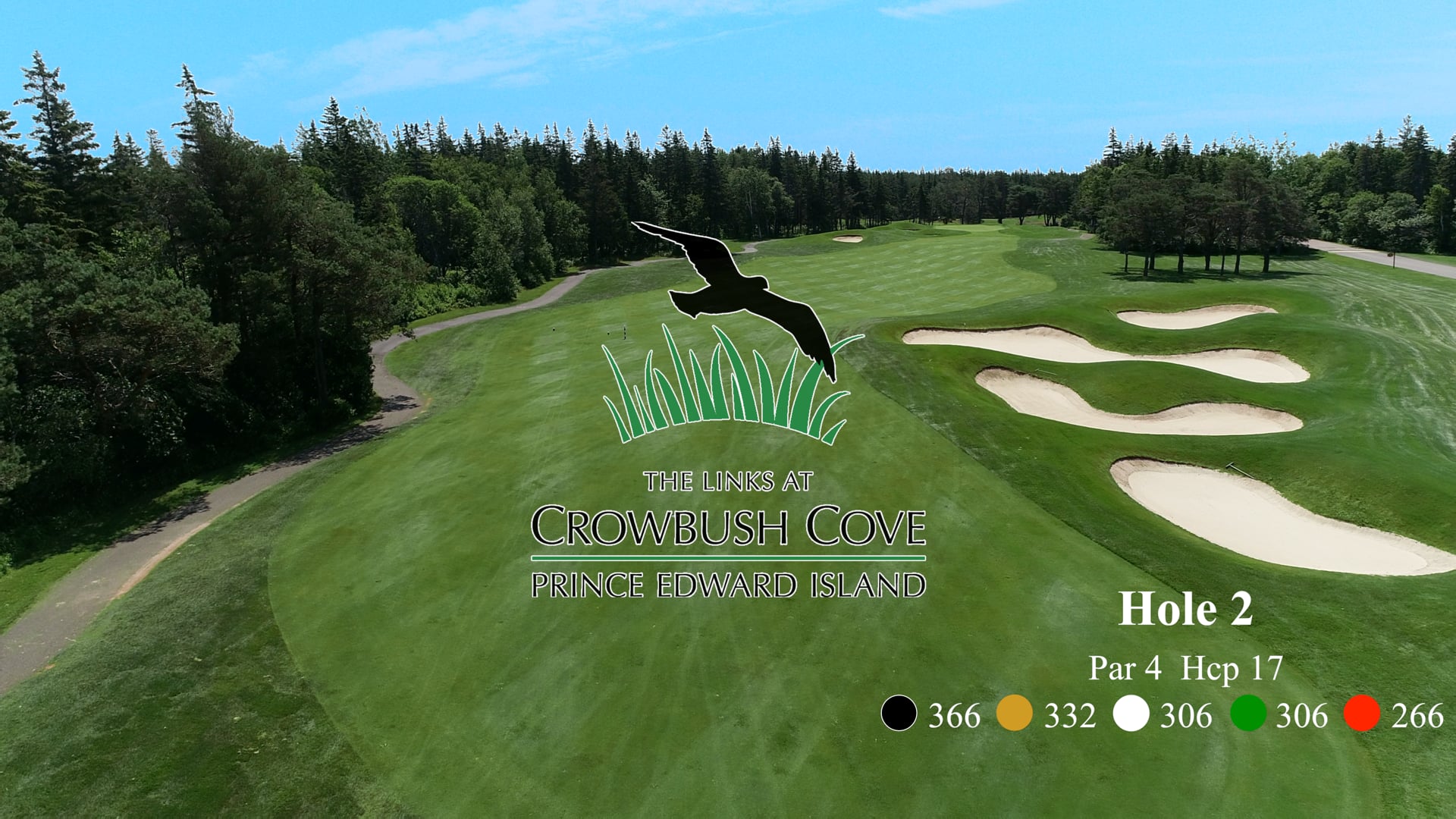 Crowbush #2