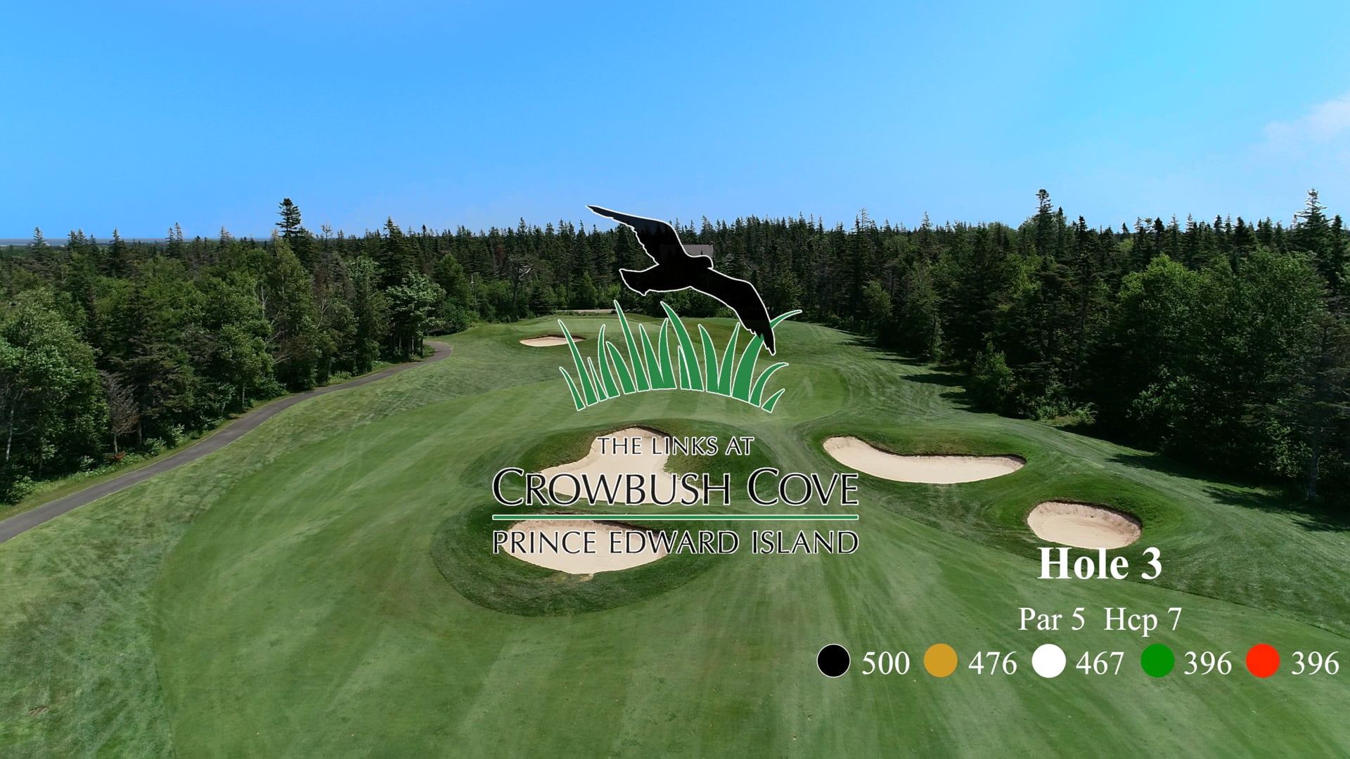 Crowbush #3