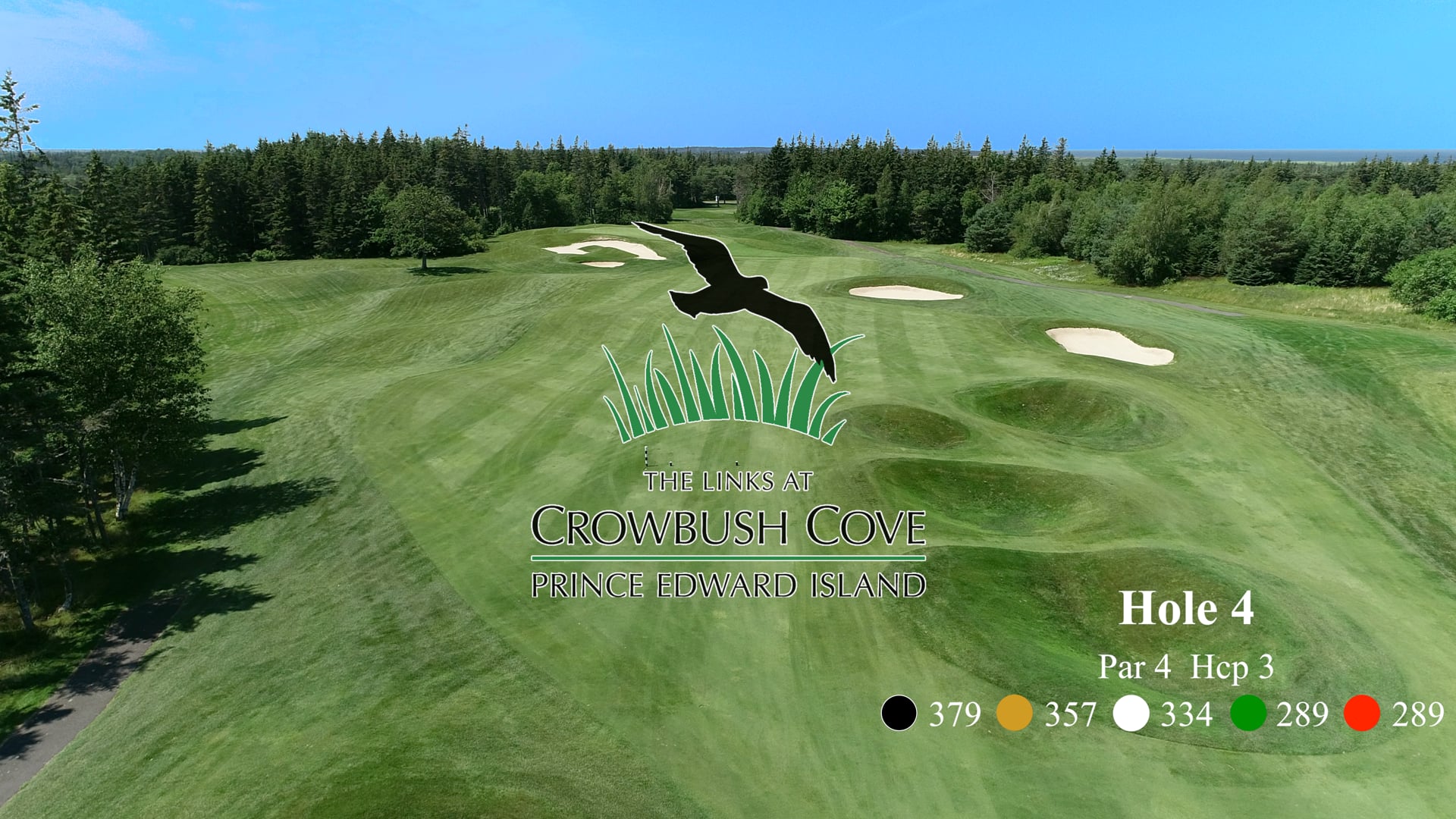 Crowbush #4