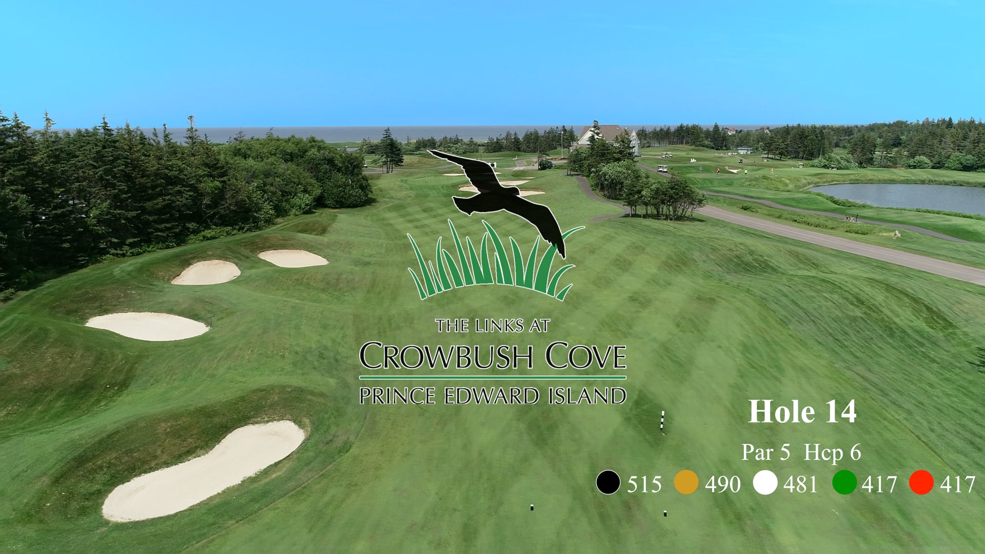 Crowbush #14