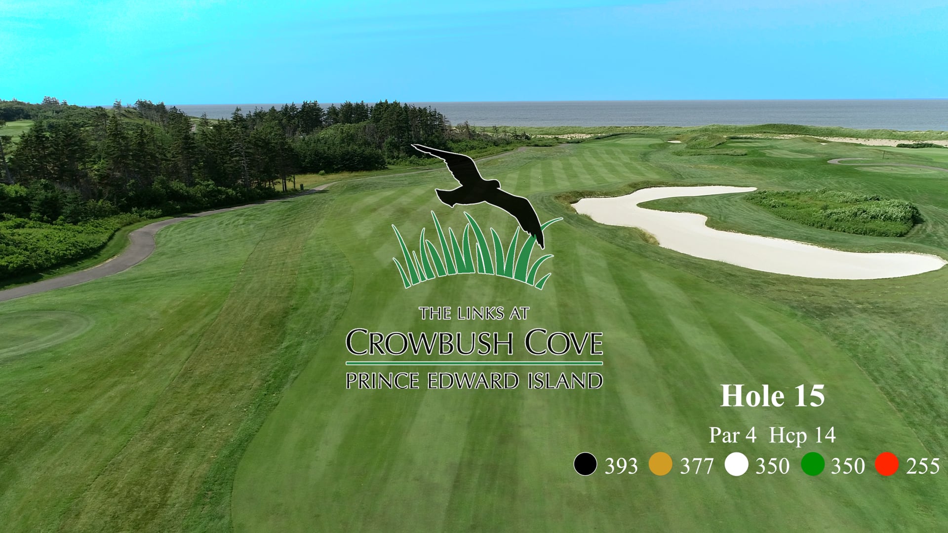 Crowbush #15