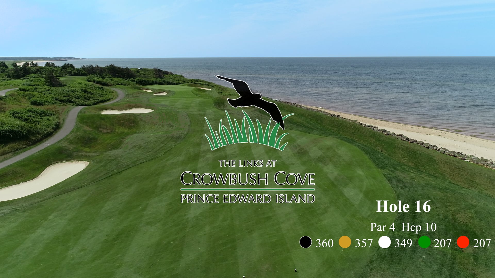 Crowbush #16