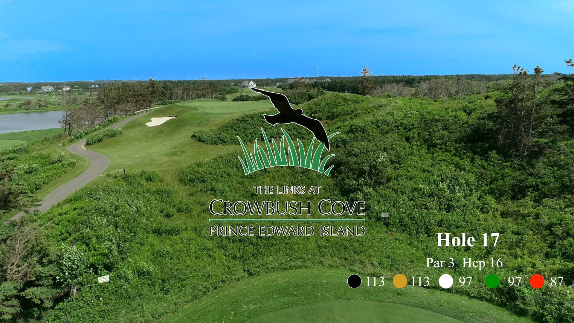 Crowbush #17