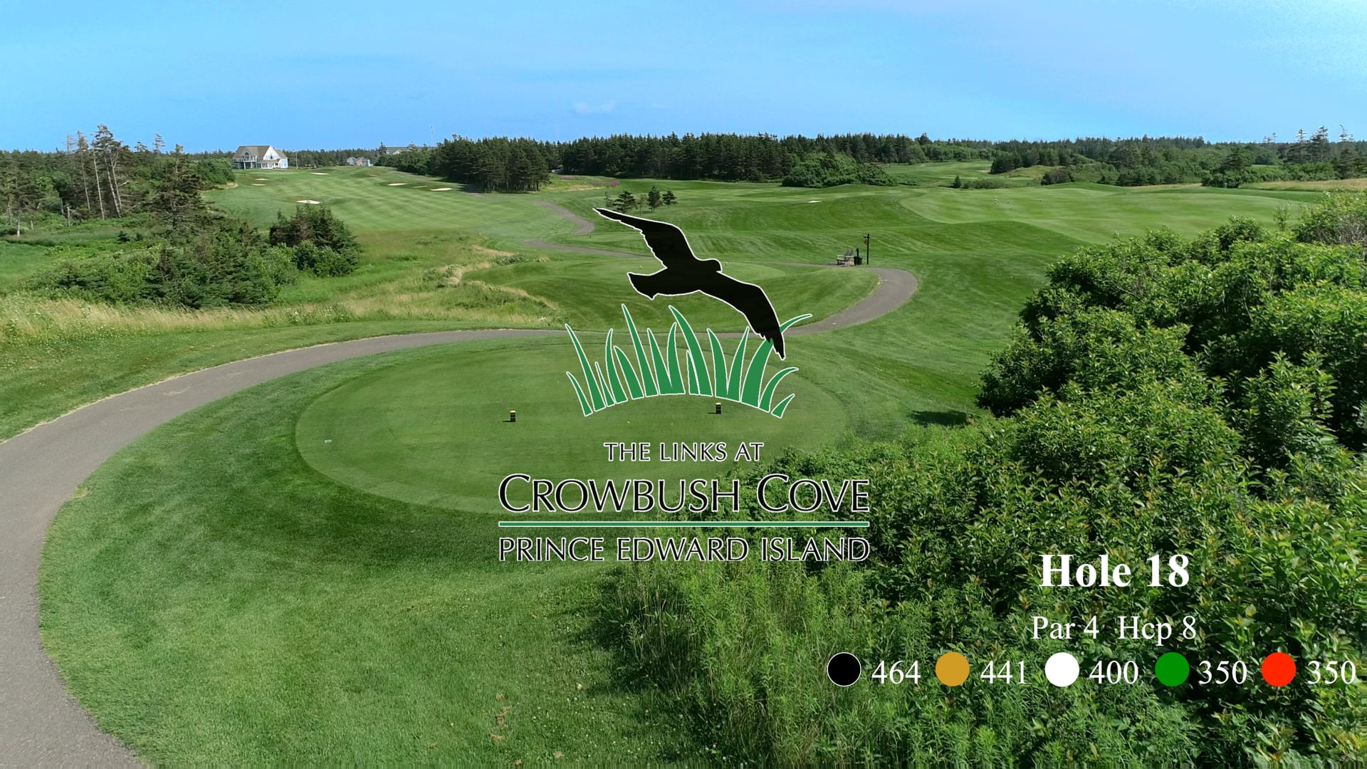 Crowbush #18