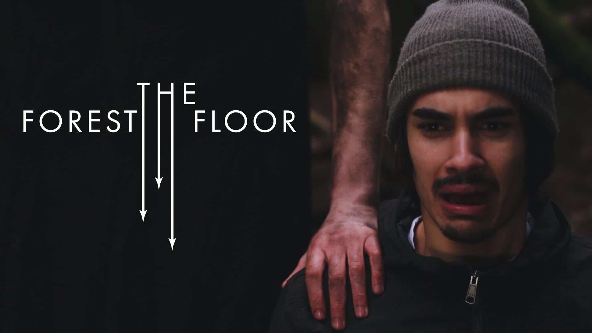 The Forest Floor