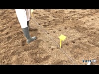 El cambio climático (I): el suelo, un gran sumidero de carbono