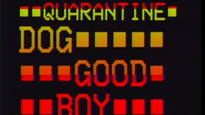 Quarantine Dog Good Boy