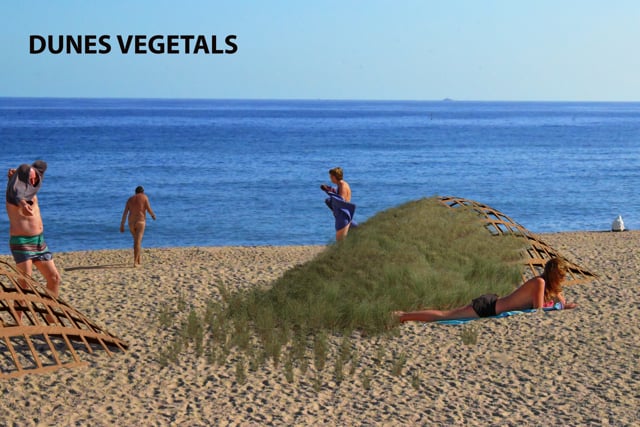 Dunes vegetals