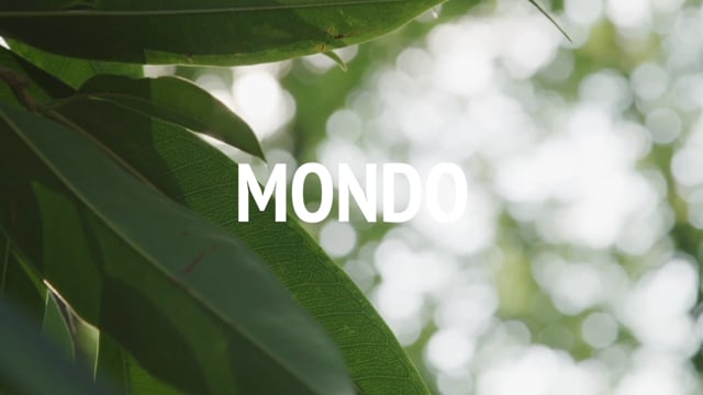 MONDO