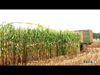 El cambio climático (III): incremento en la frecuencia de los fenómenos extremos