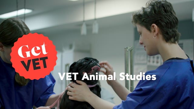 Pages - VCE VET Animal Care