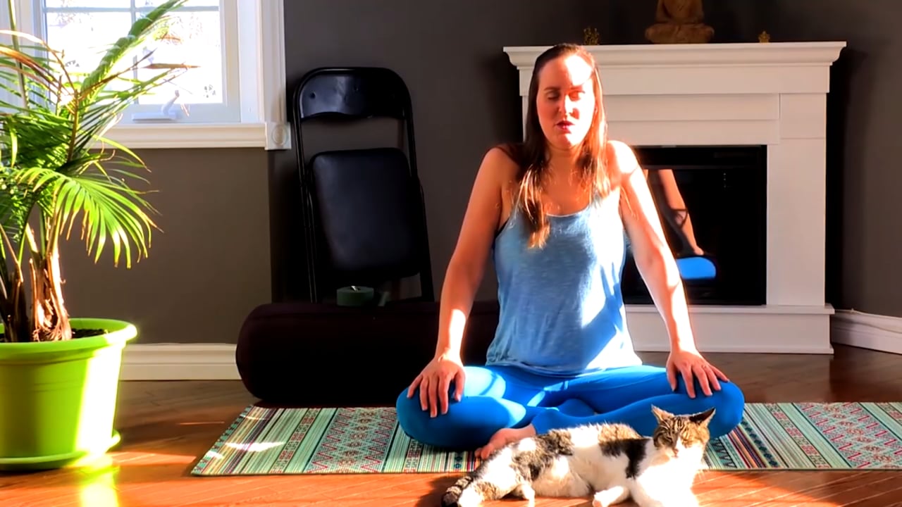 Jour 12 - Yin Yoga du soir