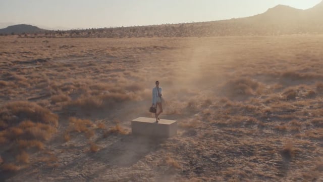 A thumbnail for the film 'Longchamp' by  kelly jeffrey