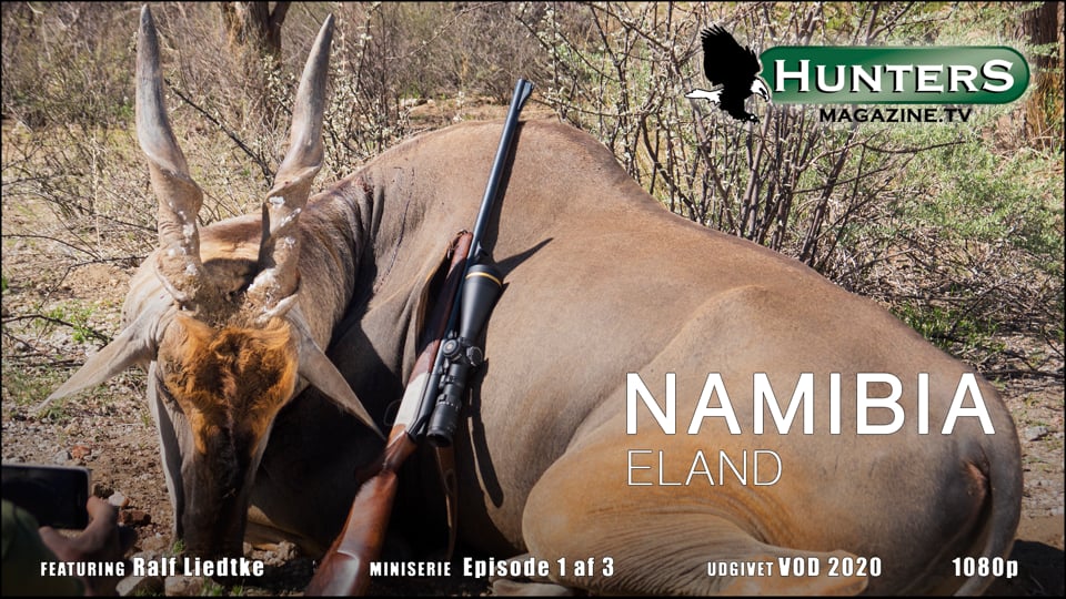 Namibia - Eland