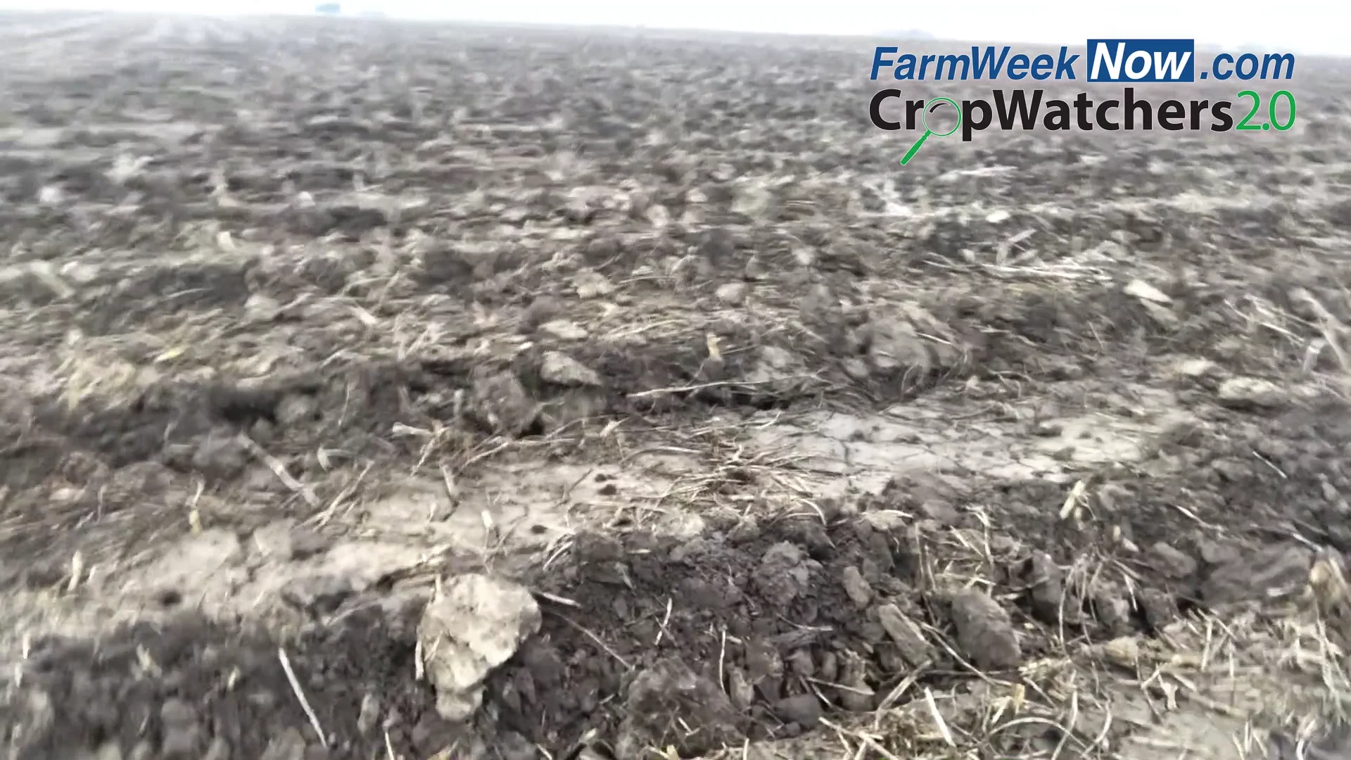 Cropwatcher Greg St Aubin's update on the field on Vimeo
