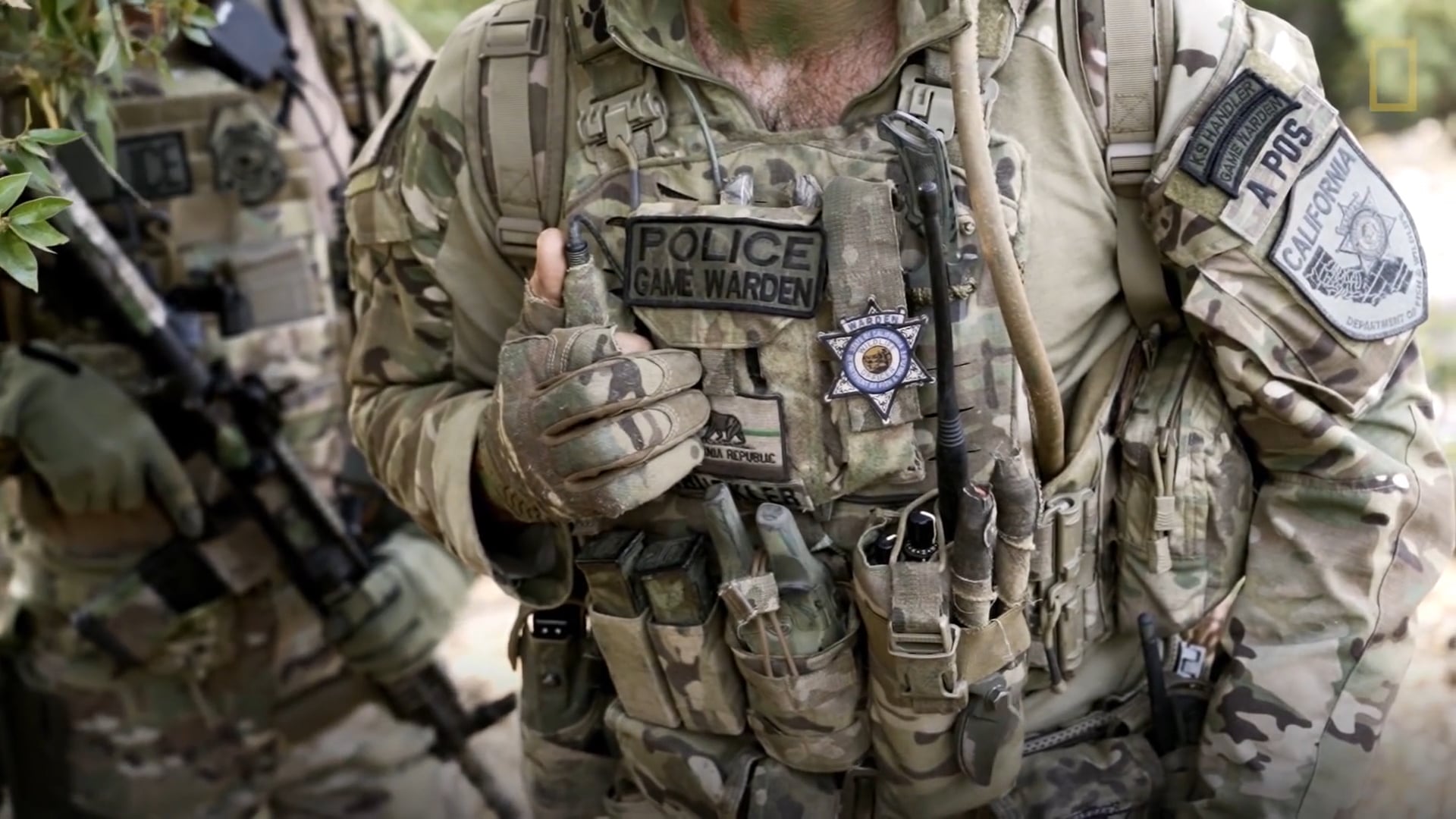 Illegal Marijuana Farms