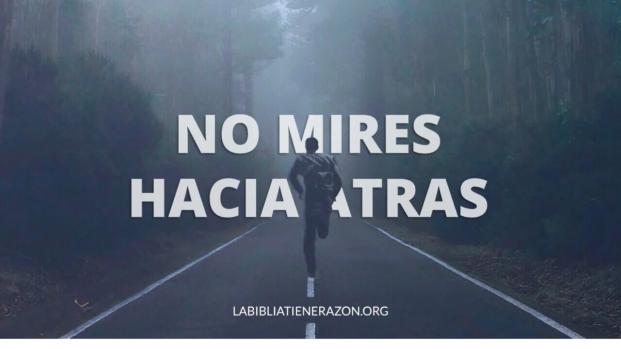 A Spanish-language Guide to I Am Not Your Perfect Mexican Daughter - Denver  Center for the Performing Arts, image size:1280x720