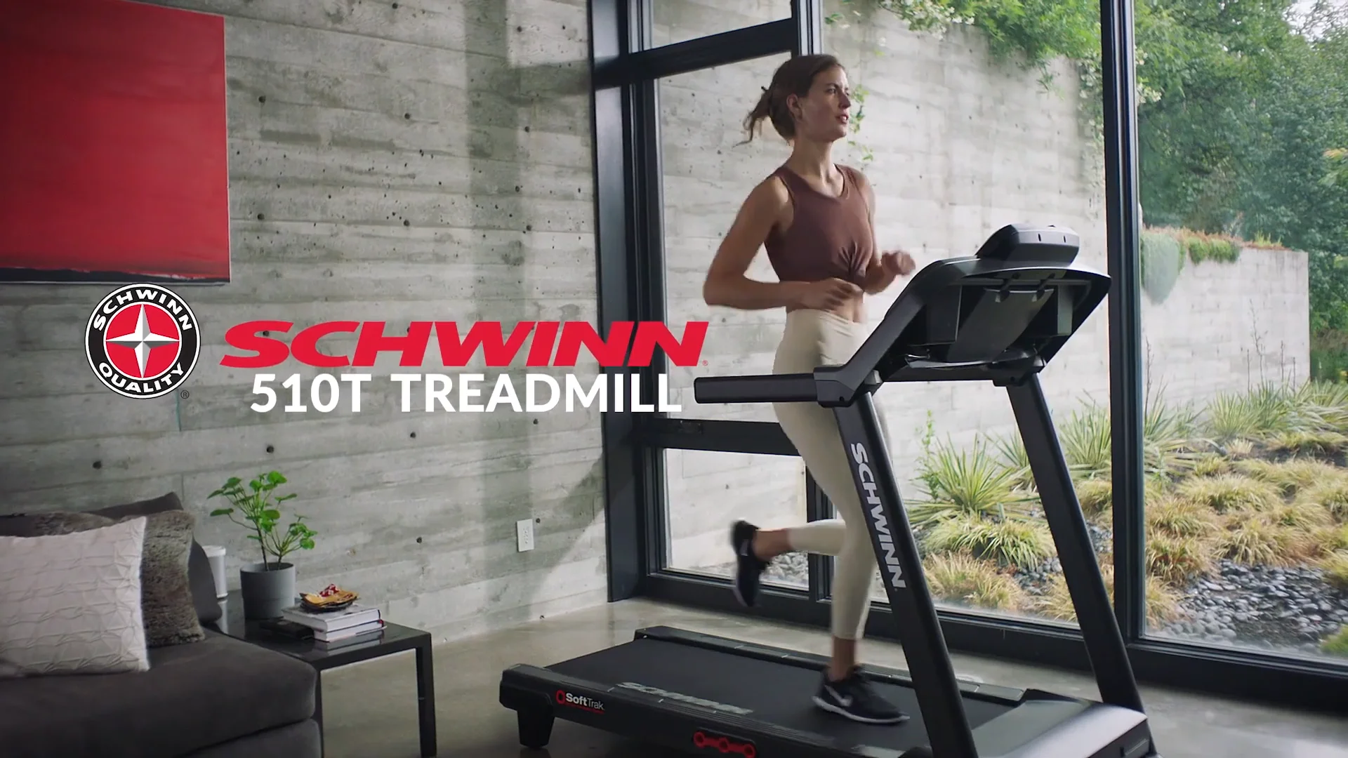 Schwinn treadmill online