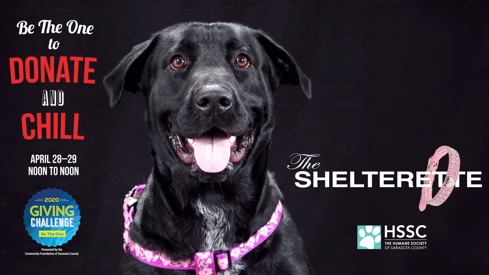 The Shelterette (Humane Society of Sarasota County)