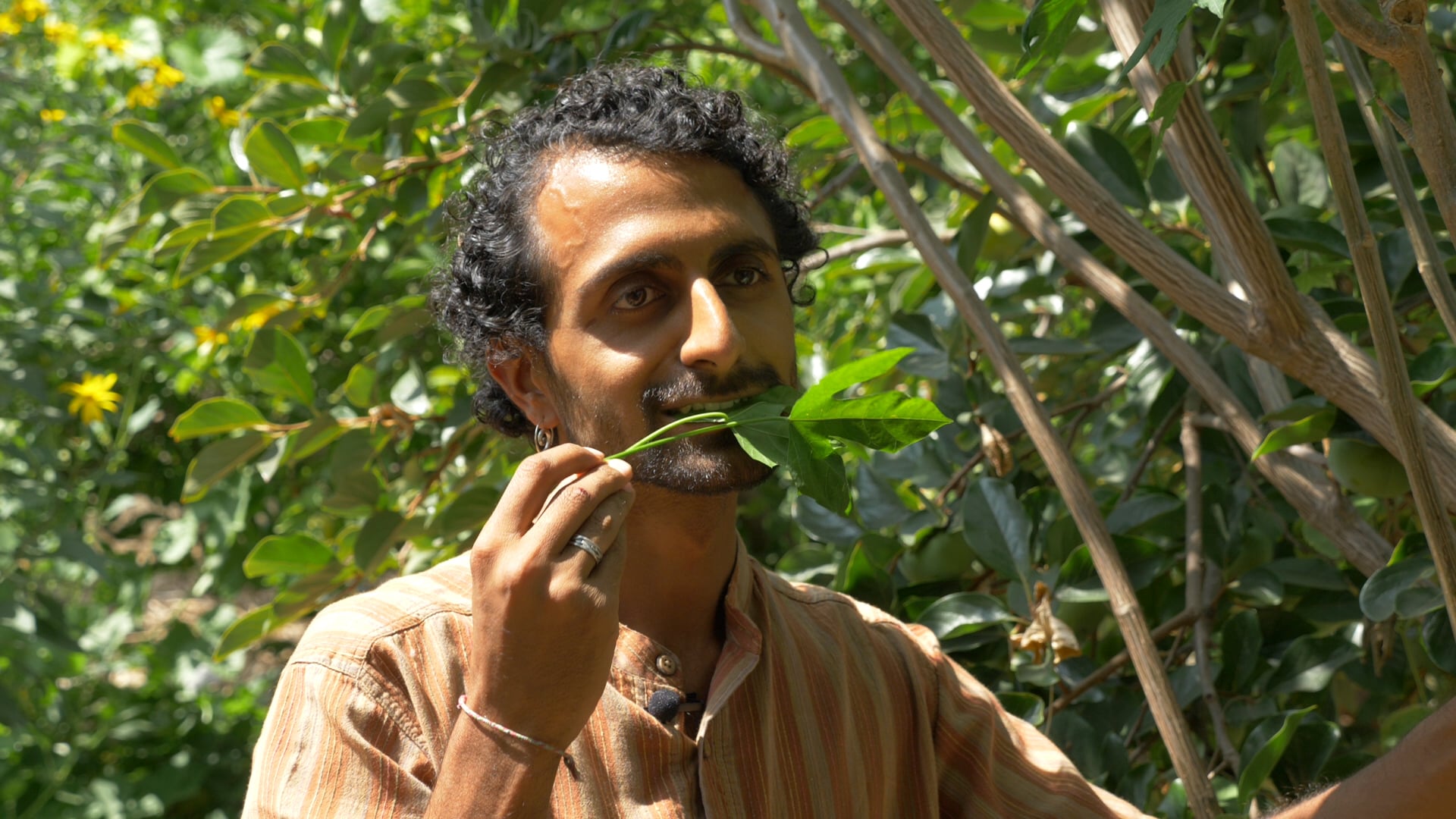 Farmer Rishi - Backyard Oasis, Urban Gardening