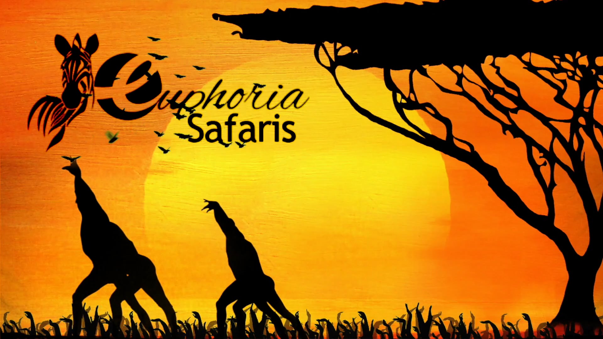 2020 Virtual Promo MJC