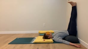 Special Guest Class: Restorative Yoga for Anxiety w/Emily Benaron