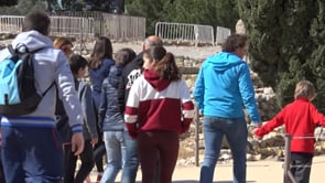 Els efectes de la pandèmia en un museu com el d'Empúries