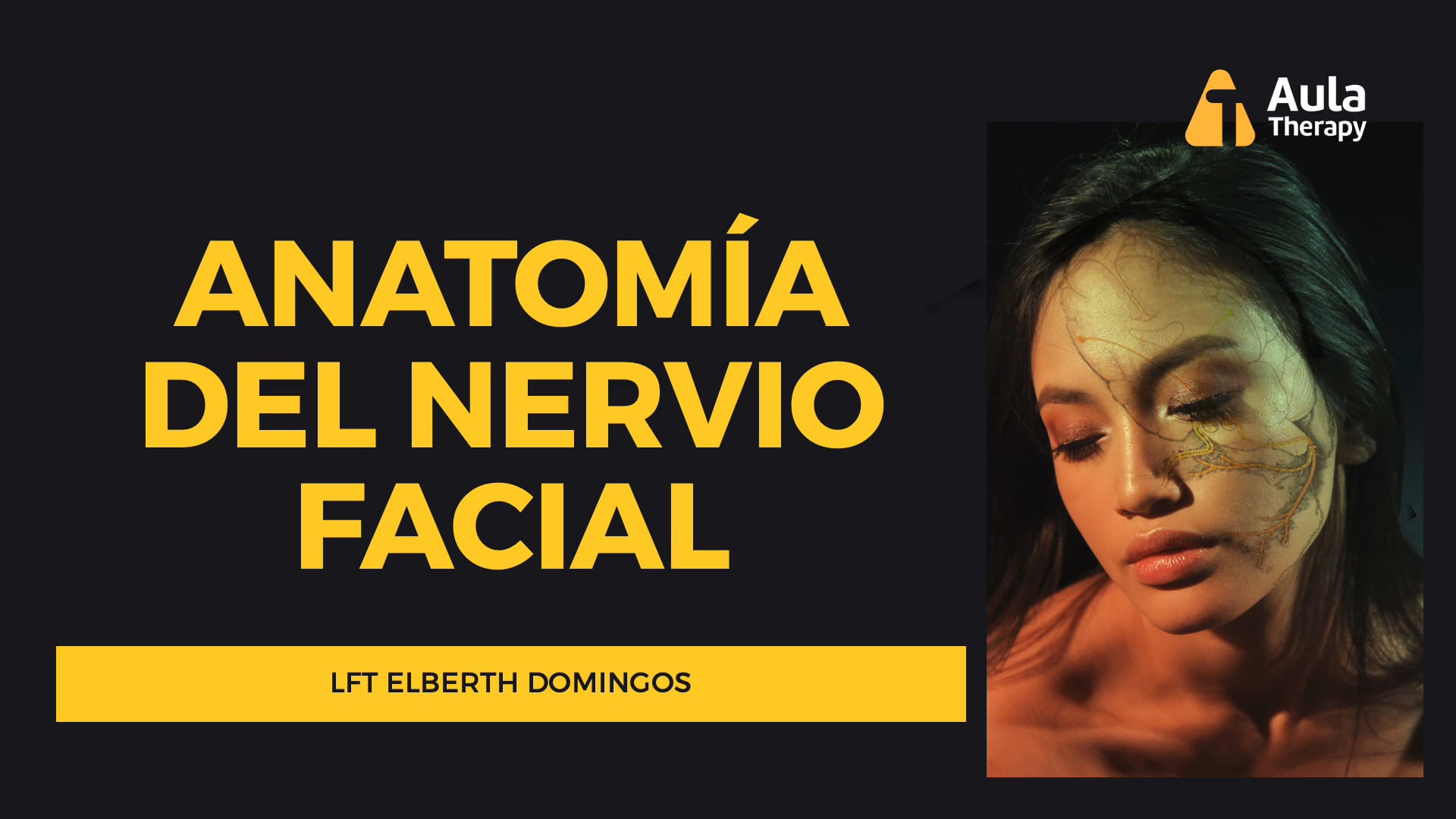 anatomía del nervio facial