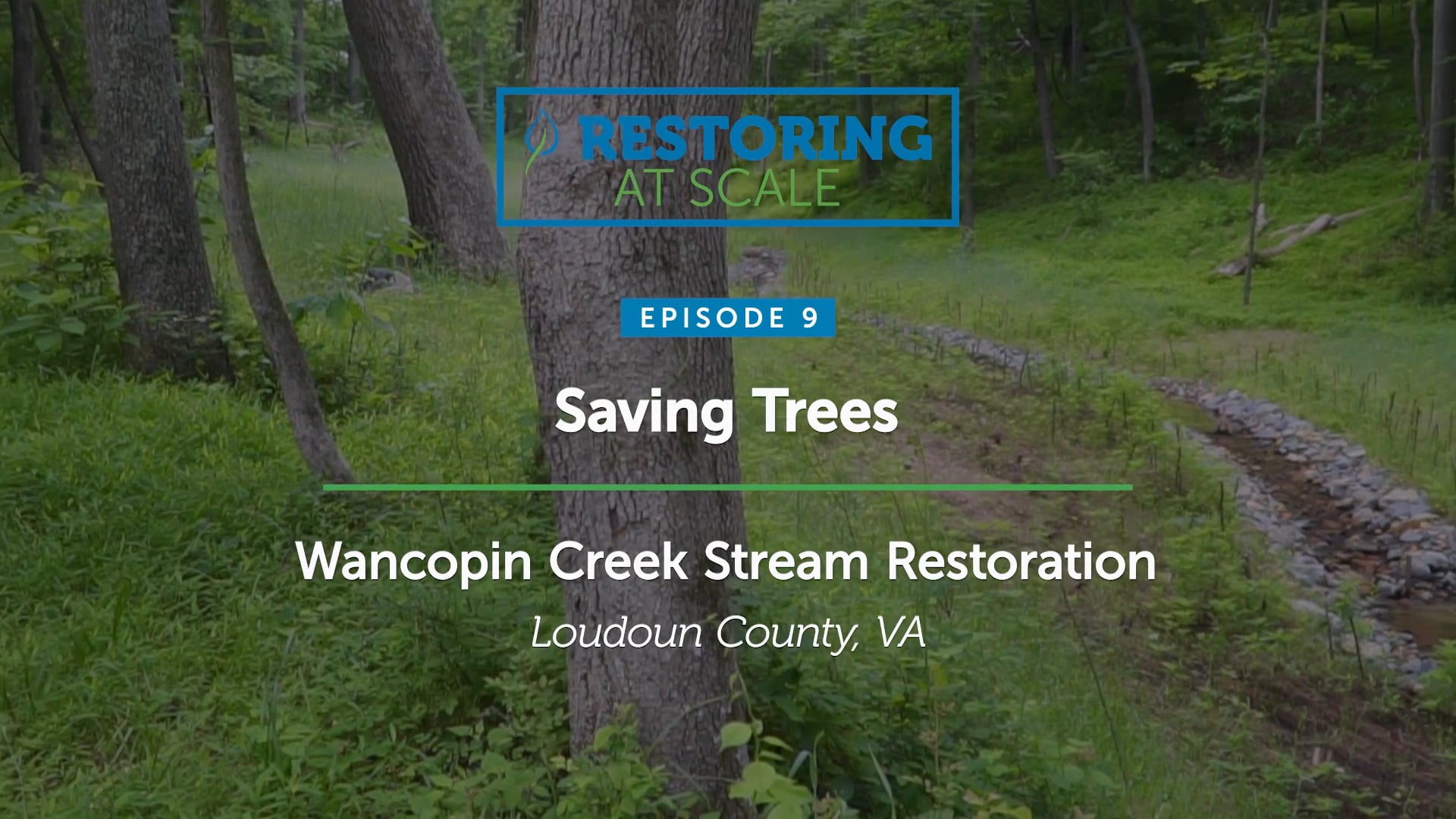 Restoring at Scale: Episode 9 - Saving Trees