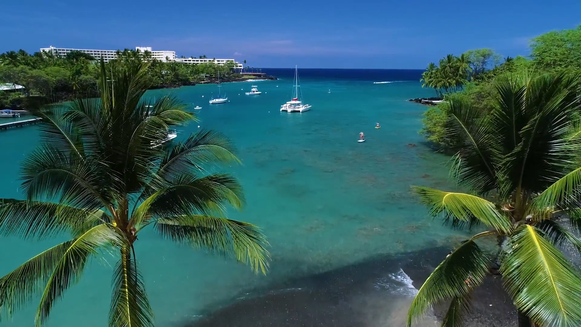 Surf for Special Needs on Everything Hawaii • Farish Media • Kawika Singson