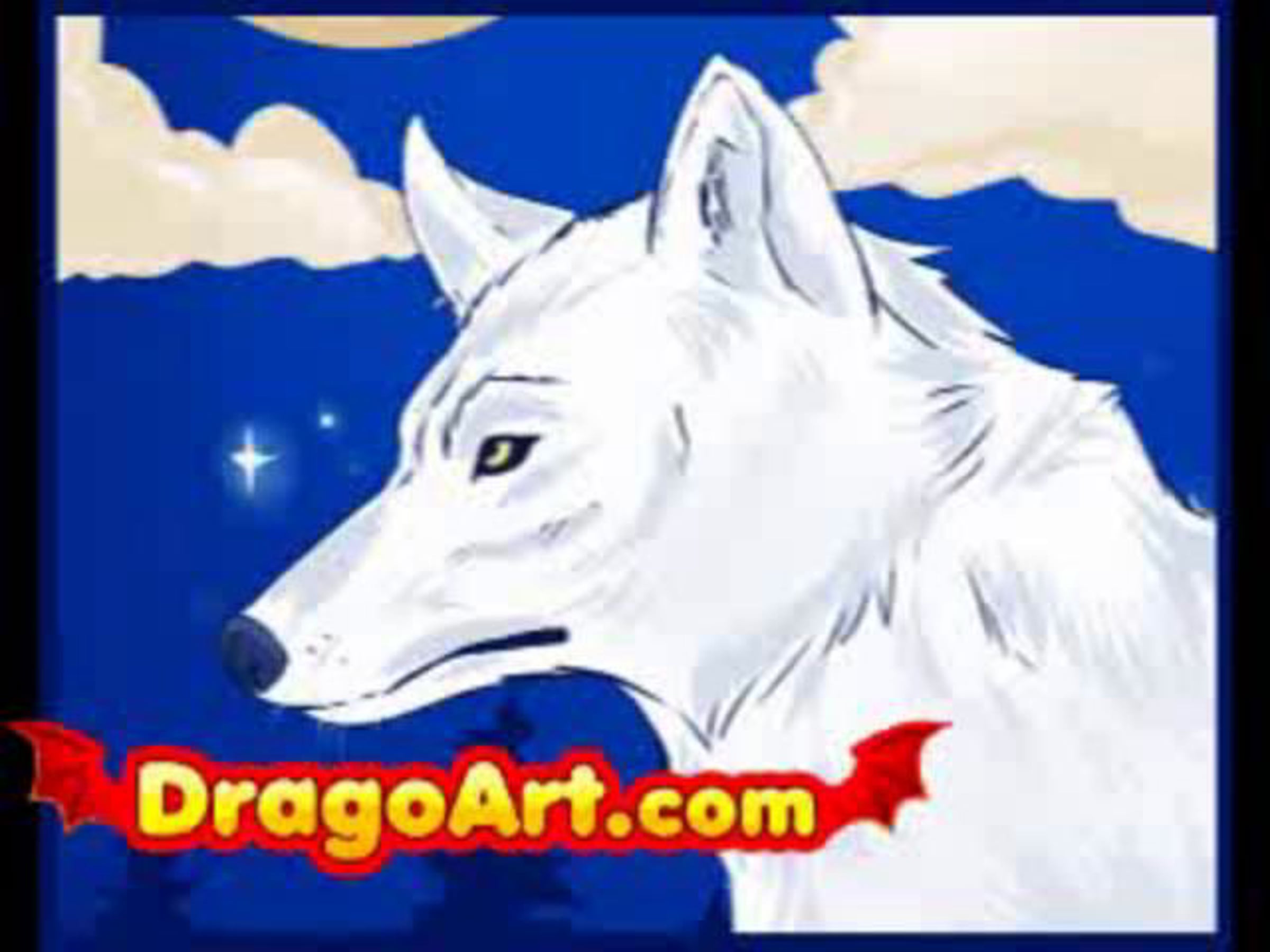 How to draw wolves, step by step | Videos & Movies on Vimeo