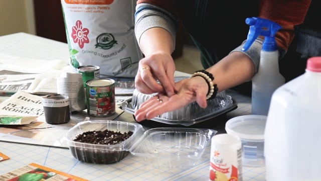 How to Start Seeds in Recycled Containers