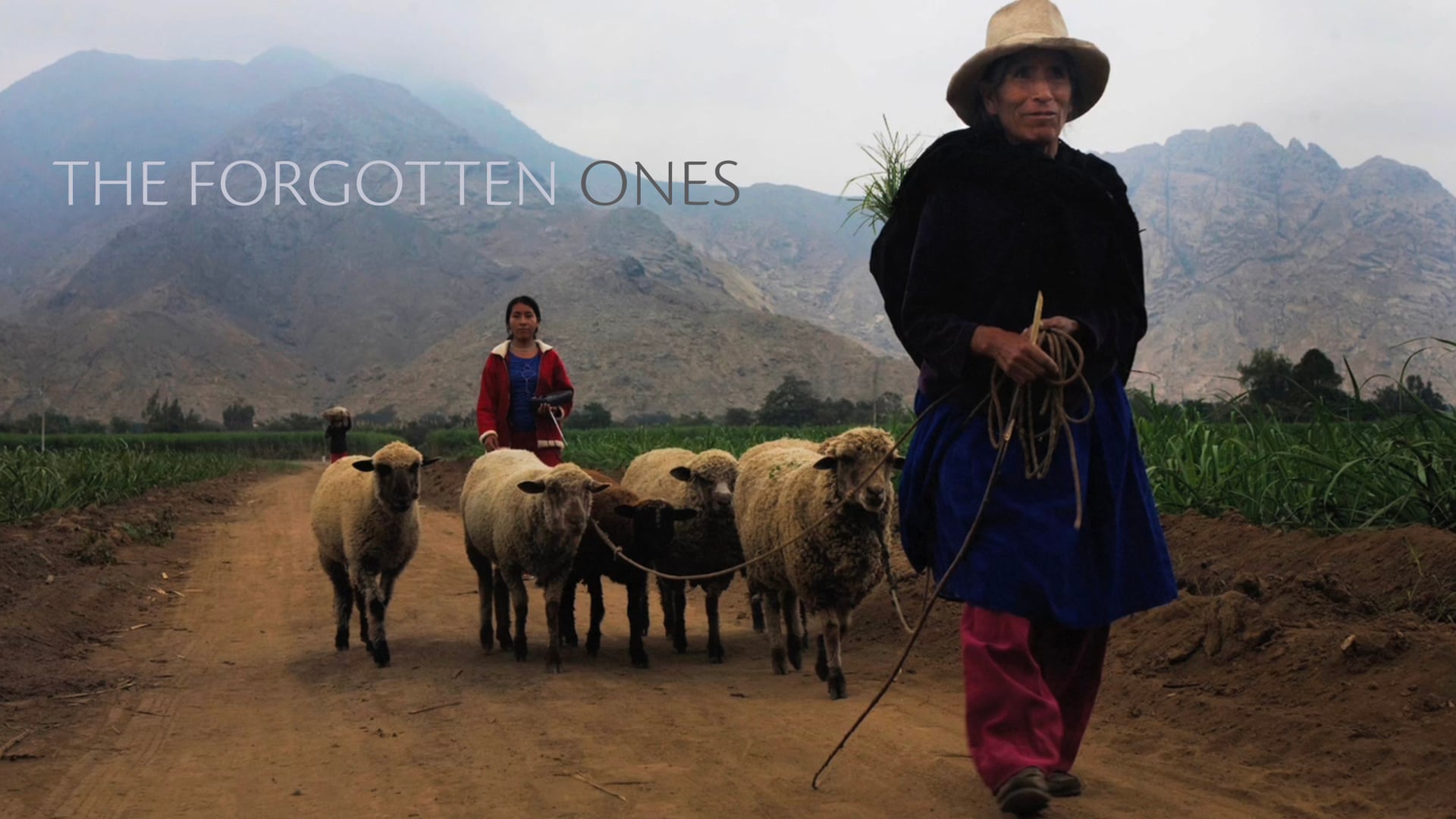 The Forgotten Ones