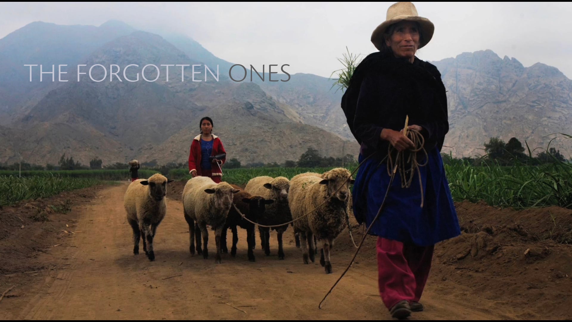 The Forgotten Ones