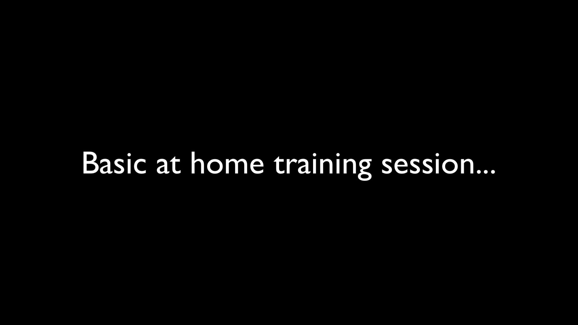 Basic Body Weight Training Session at Home on Vimeo