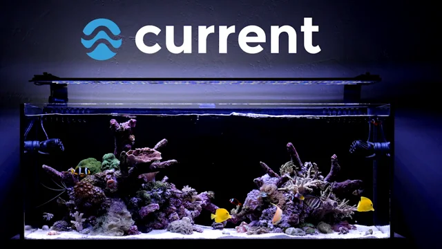 Current usa orbit marine aquarium best sale led light