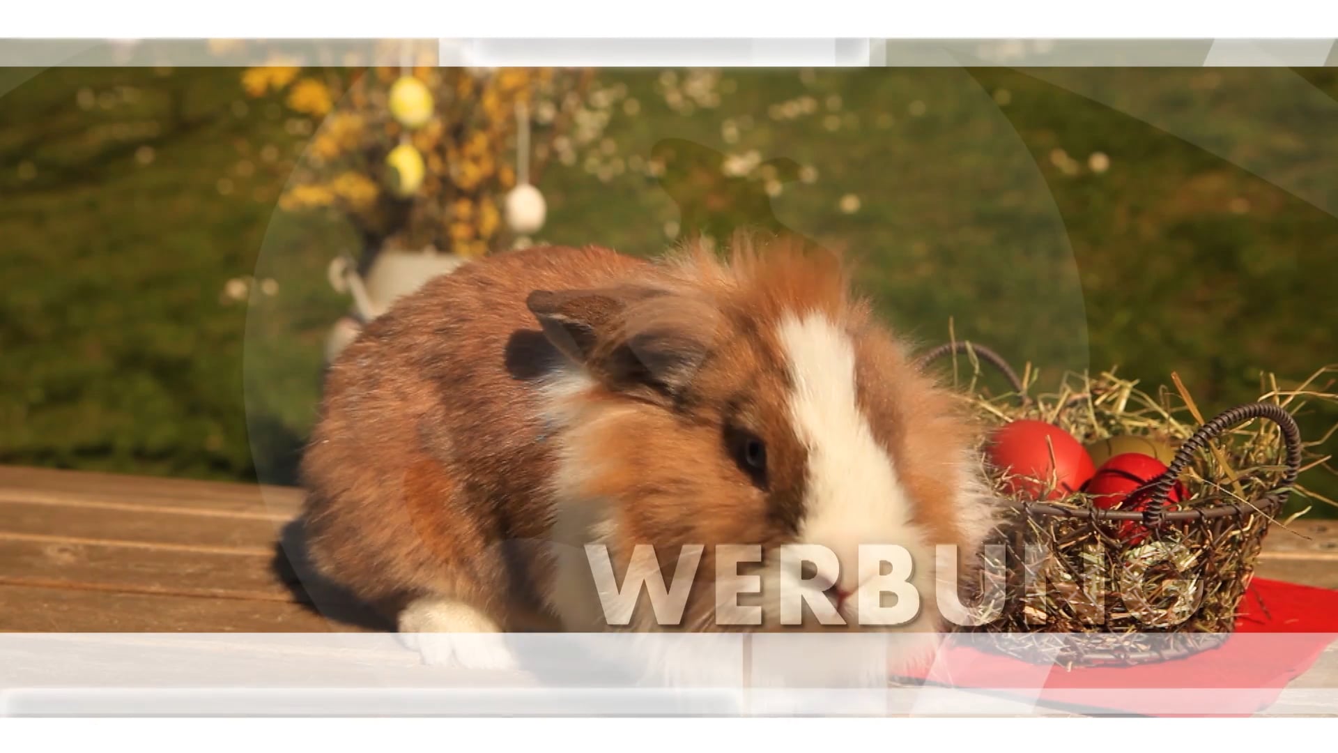 werbung-rts-reisezeit-10-04-2020