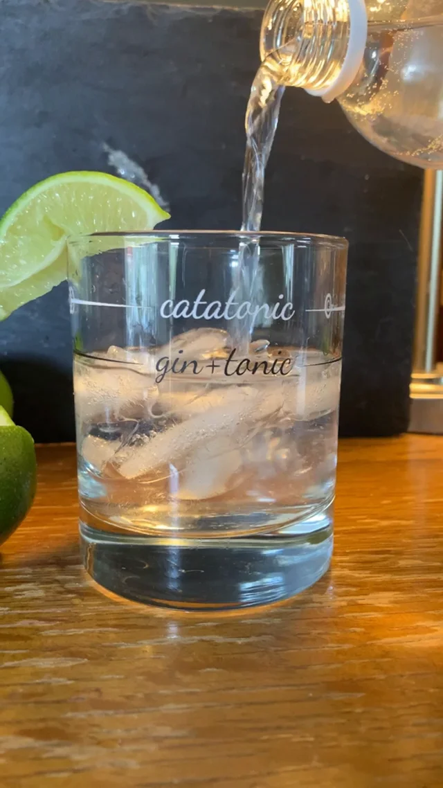 Two tall cocktail glasses with pink gin and tonic garnished with large  crystals of salt on an edge of a glass, large piece of ice, peppermint  Stock Photo - Alamy