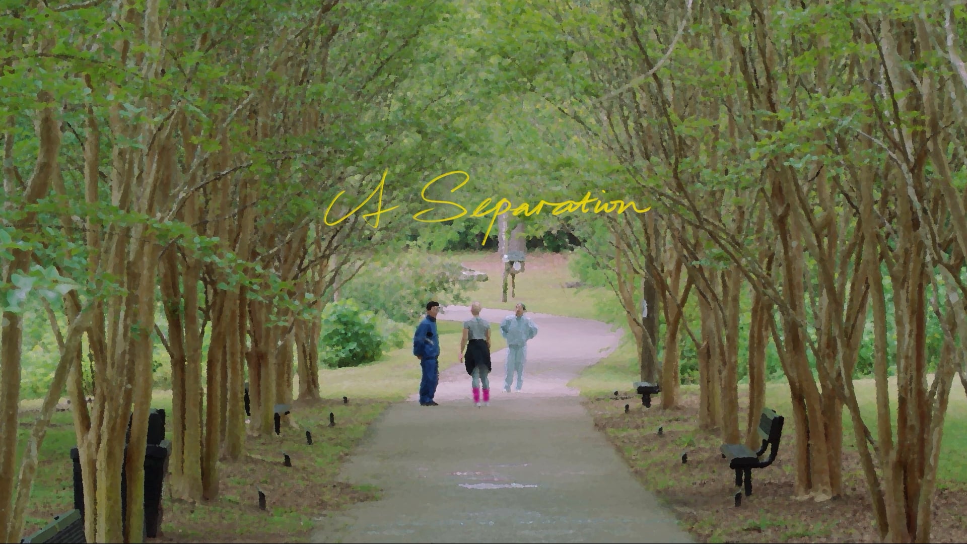 A Separation | Trailer | 2019