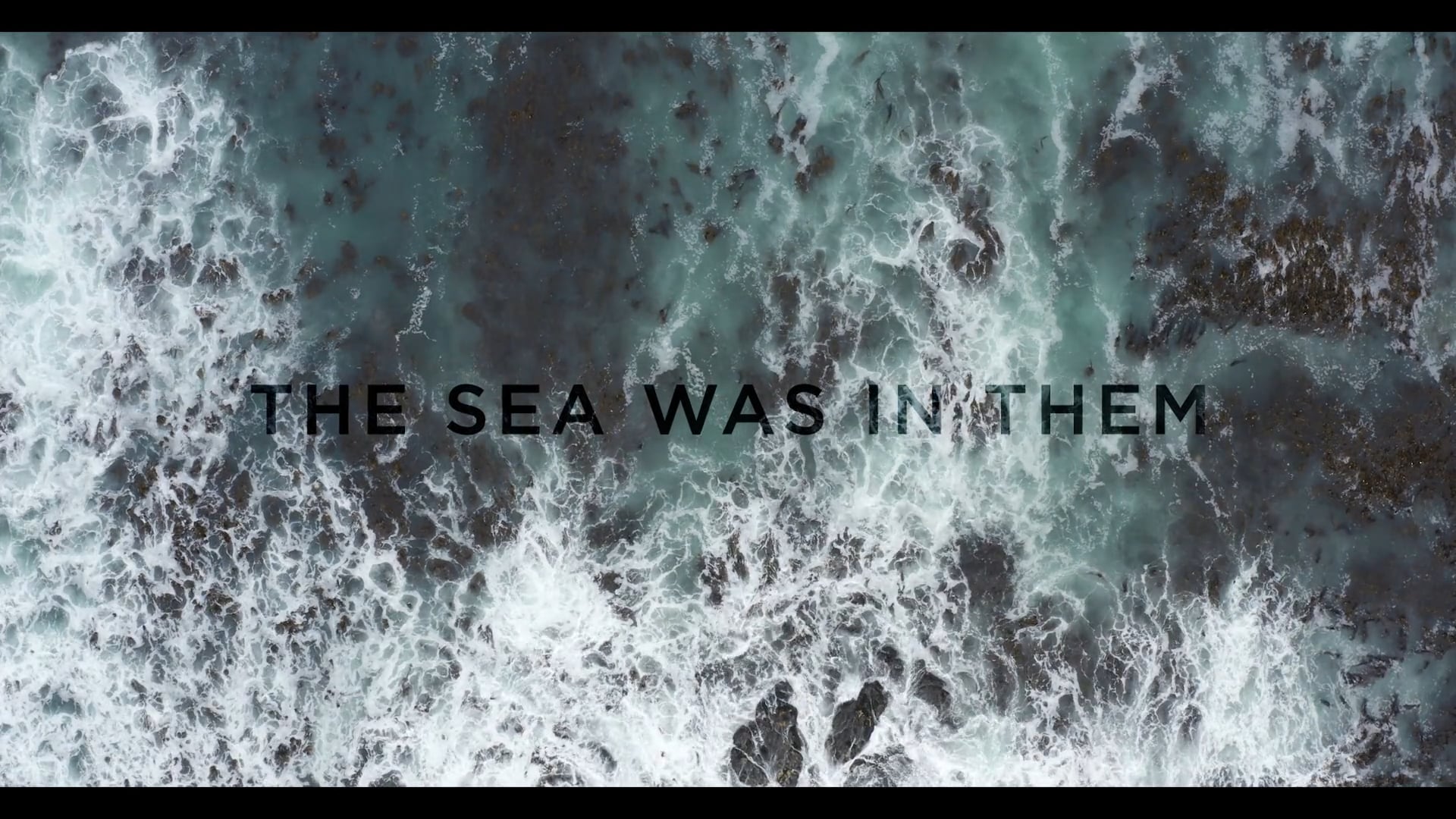 The sea was in them