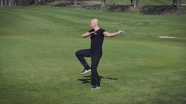 Tai Chi Chuan, Teil 4
