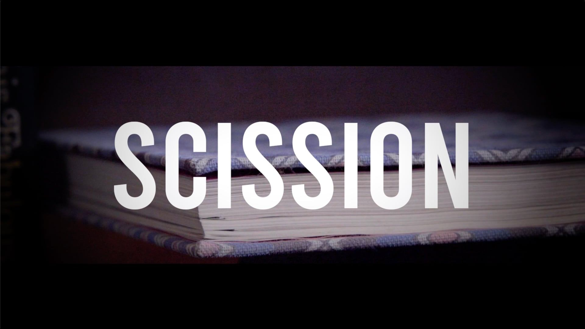 Scission - Written by Ilana Fogelson