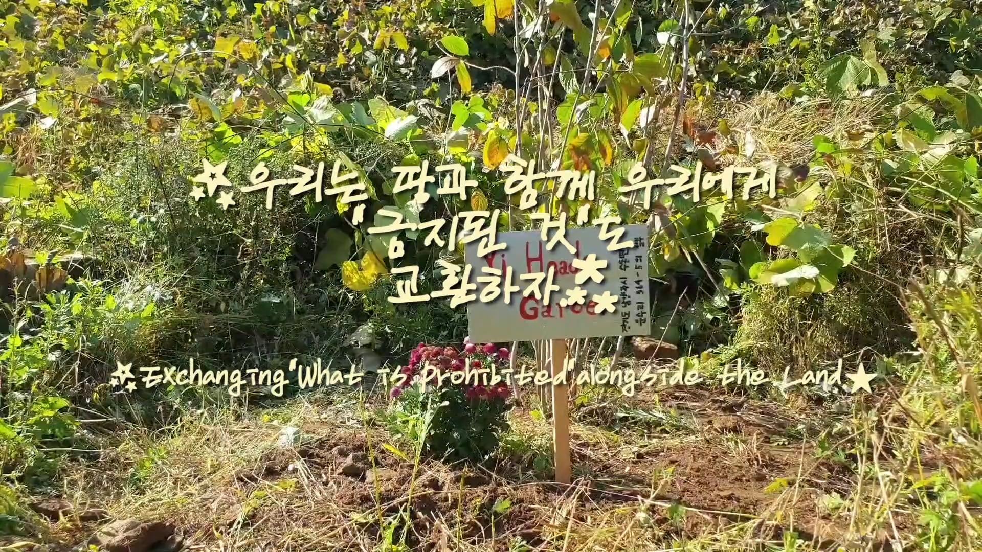 우리는 땅과함께 우리에게 금지된 것도 교환하자