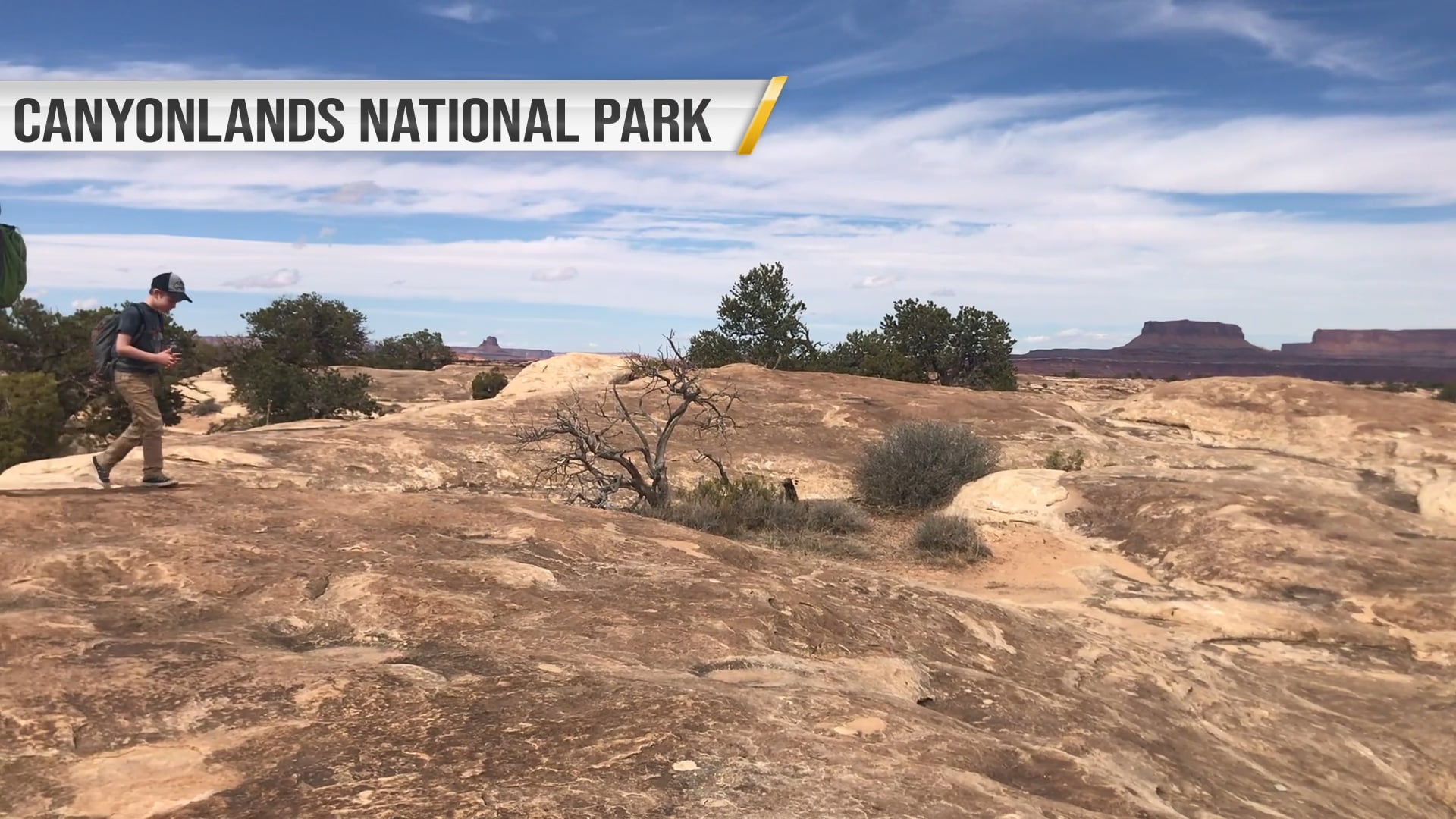 Coronavirus and the National Parks