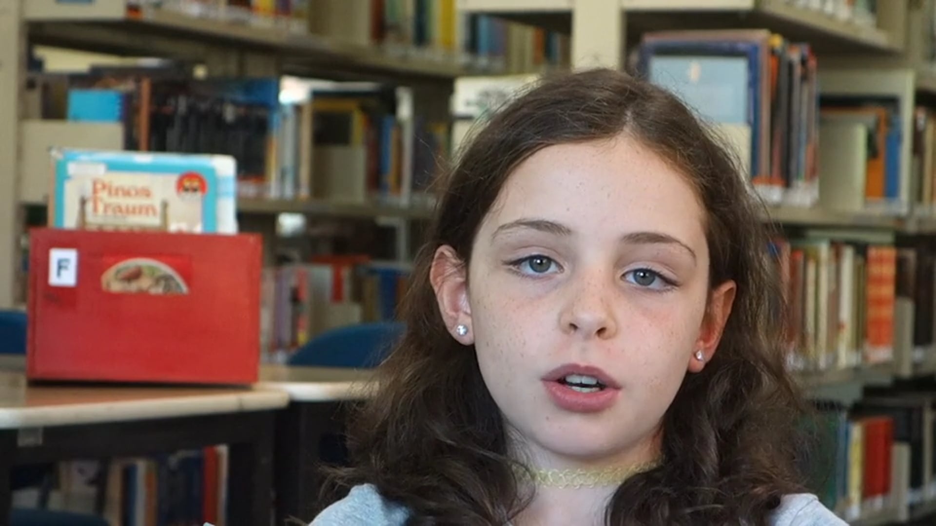 Why Not Speak Two or Three Languages?