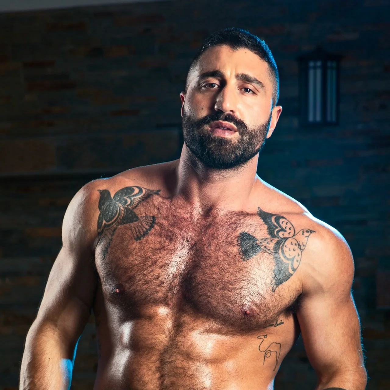 Sharok: Gay Porn Star Interview